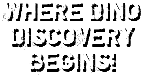 Where Dino Discovery Begins!